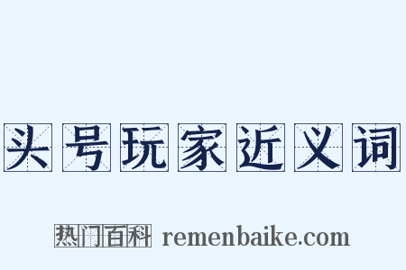 头号玩家近义词是什么意思的图片